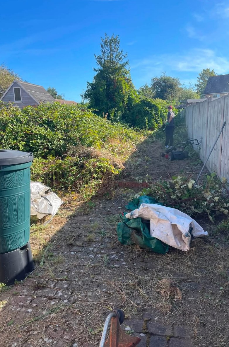 An overgrown garden being cleared by Williams Landscaping