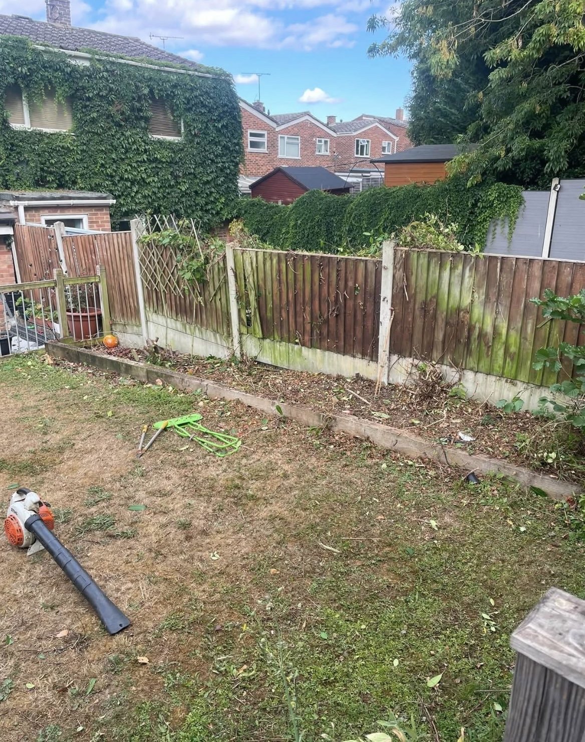 An overgrown garden with a mossy fence line before clearance, Braintree