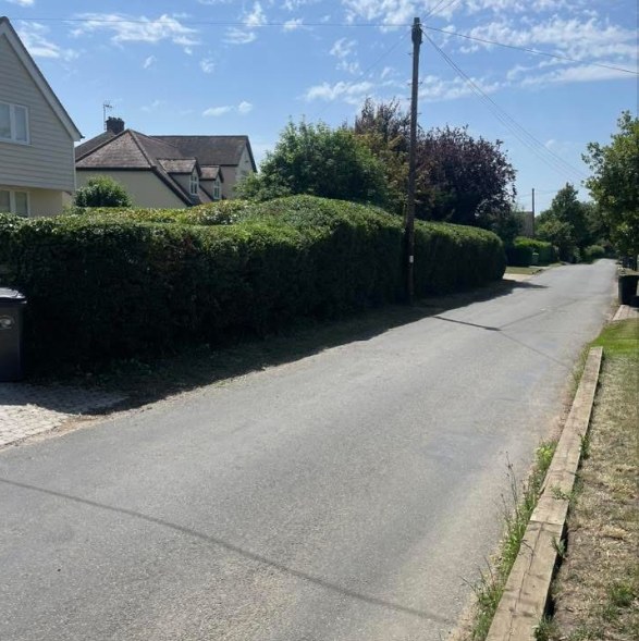 A long roadside hedge trimmed flat and level, Braintree