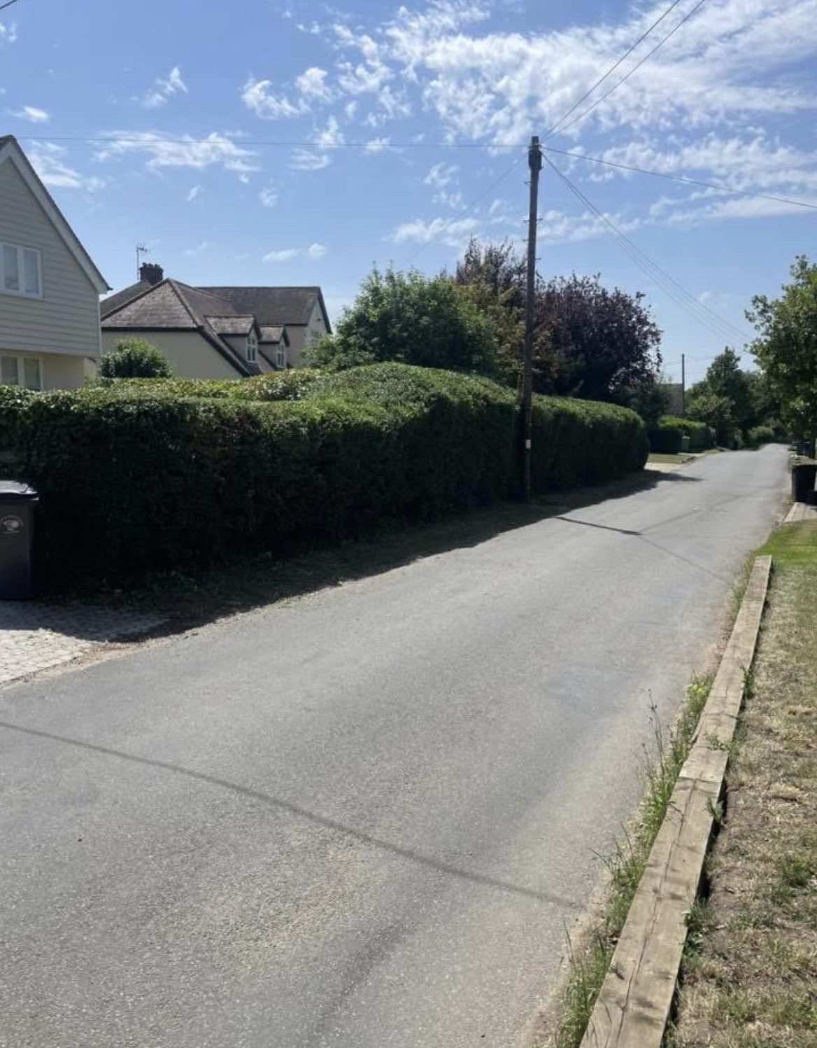 A neatly trimmed roadside hedge, Braintree