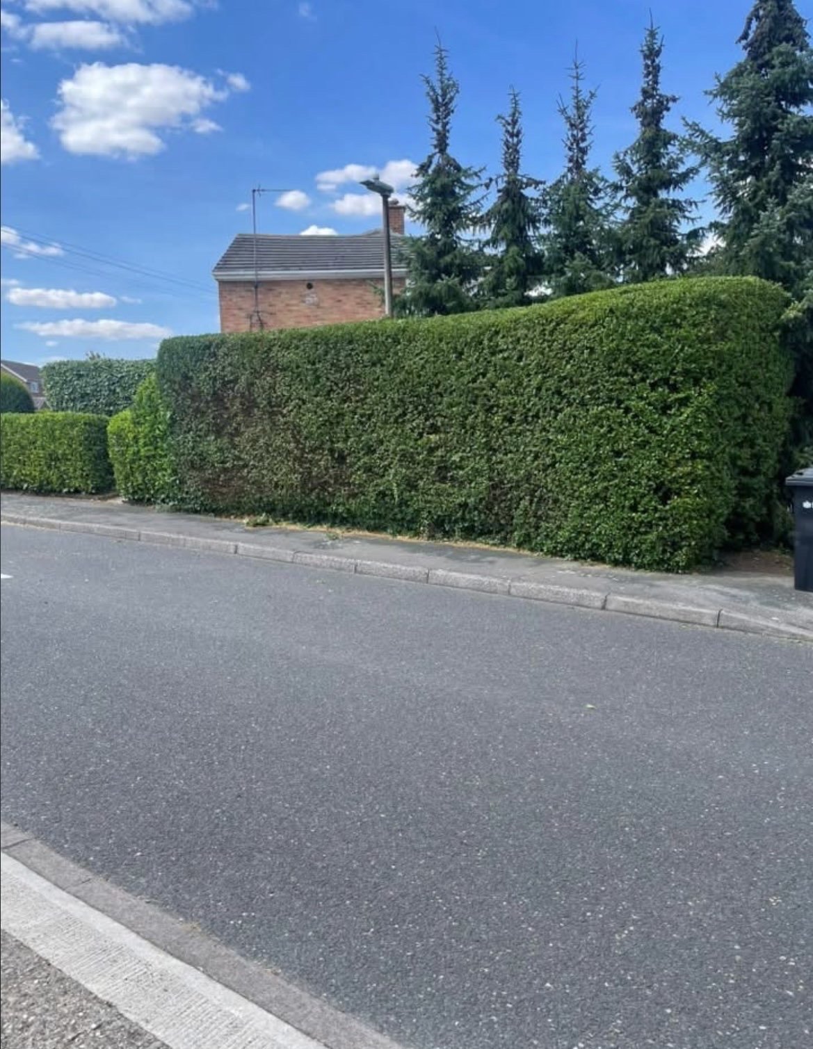 A flat-topped roadside hedge beside a brick house, Braintree