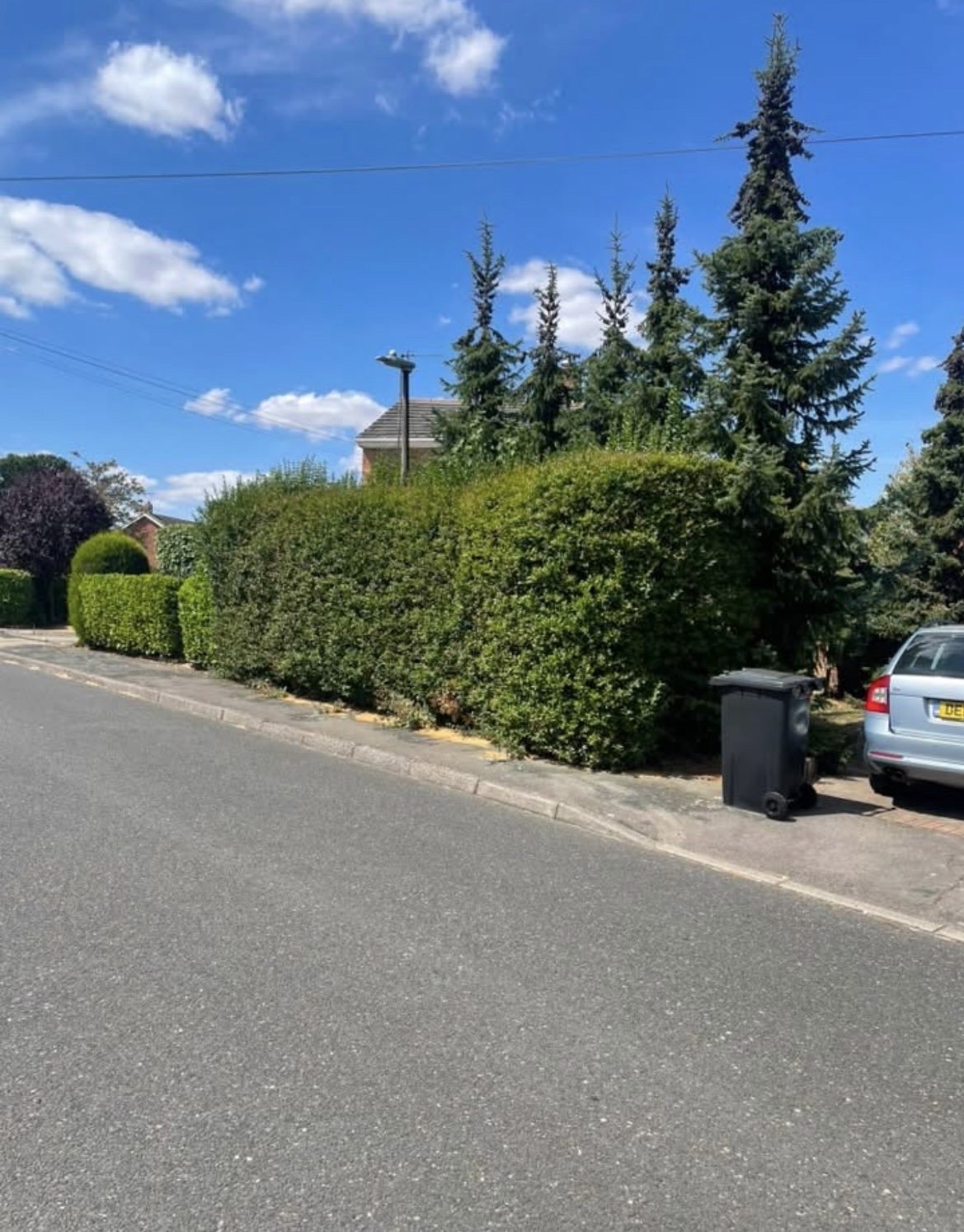 A trimmed roadside hedge with parked car, Braintree