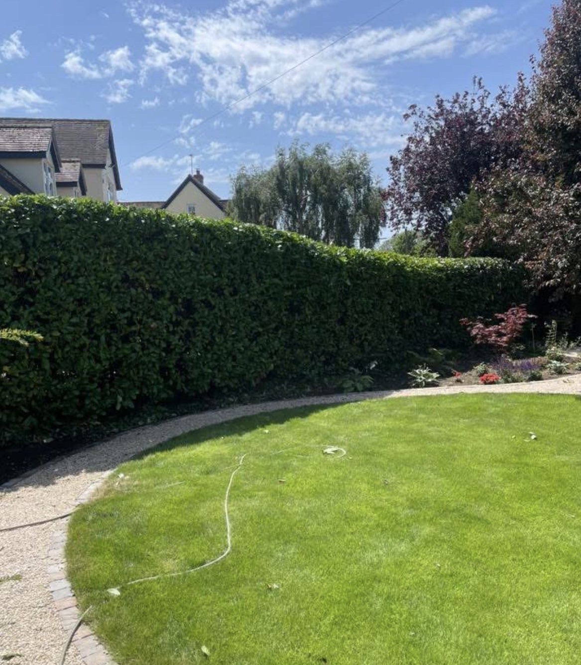 A curved lawn edge with trimmed hedge border, Braintree